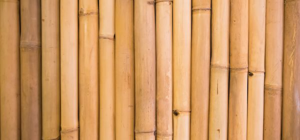 Environmentally Friendly Bamboo Household Products And Ideas
