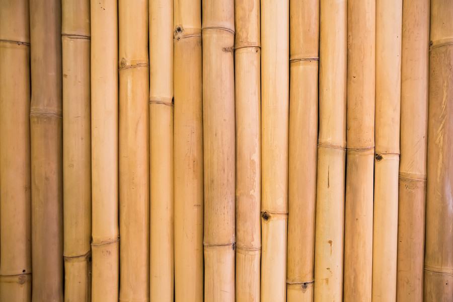 Environmentally Friendly Bamboo Household Products And Ideas Healthy