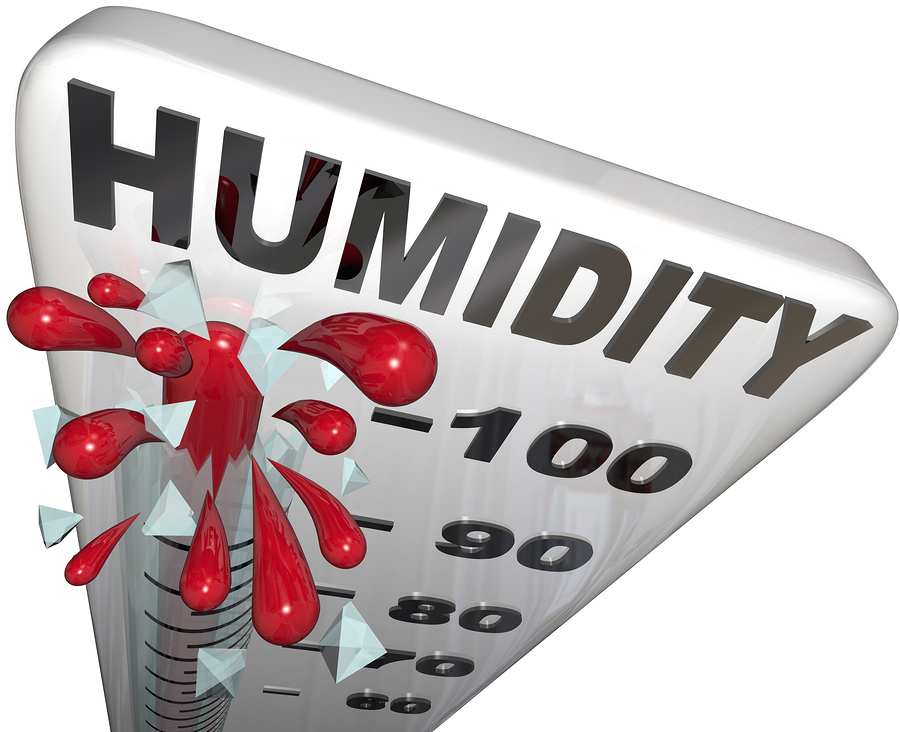 what-should-the-humidity-be-in-your-house-in-the-winter